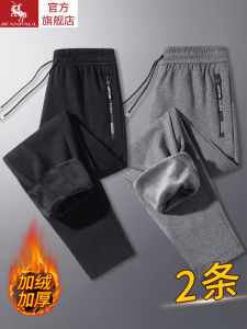 Mens Fleece Lined Sweatpants Thick Warm Casual Sporty Loose Fit Trousers Autumn Winter Polyester Fiber Straight Leg Pants