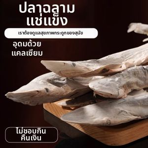 DIDIMA | Dried Shark Meat Teeth Cleaning Chew Sticks for Dogs