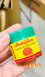 Lingzhi Analgesic Balm 🍃 Herbal Pain Relief Ointment for Soothing Muscle & Joint Aches