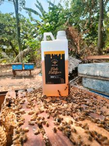 Madu multiflora 1kg