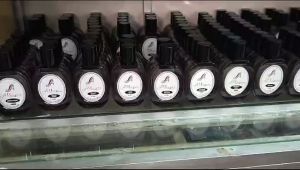 Alhayaa Premium EDP 35 ml