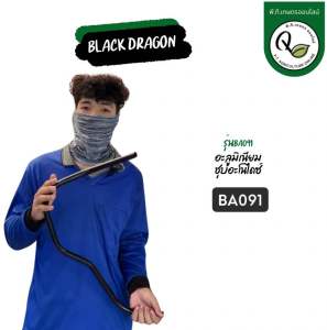 ชุบอะโนไดซ์แฮนด์เครื่องตัดหญ้าอะลูมิเนียมคอลเลกชั่นBlackDragonขนาด19มม.