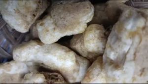 Beli 3 Cuanki Tahu GRATIS Cuanki Lidah isi 50 Pcs Toping baso aci dan seblak Termurah bisa COD