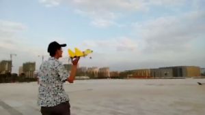 Remote Control Airplane 2.4G Remote Control Fighter Hobby Plane Glider Airplane EPP Foam Toys RC Plane 遥控战斗机