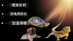 Pet Reptile Turtle Tortoise Heat Lamp UVA+UVB 25w/50w Turtle Basking Light Turtle Heat Lamp Basking Bulb