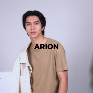 Kaos Pria Berkualitas Tinggi: ARION LIGHT GREY