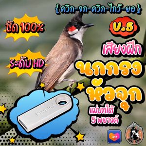 เสียงฝึกนกกรงหัวจุก V.5 ////ควิก-จก-ควิก-ไกว๊-ยอ//// เพลงแม่บทใต้ ยาวสะใจ10ชม. ใส่แฟลชไดร์ฟ เสียงใสชัดเป๊ะ ไม่มีโฆษณาแทรก พร้อมส่ง! เก็บปลายทาง