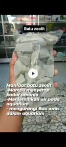 Batu Zeolite 1kg Zeolit Alam Filter Aquascape Ikan Aquarium 1 kg kilo
