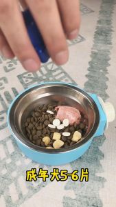 200/pcs Pet Supplement Dog Supplement Cat Supplement Vitamin Multivitamin Probiotic Calcium