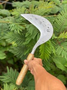 Arit Dewi Bintang Original