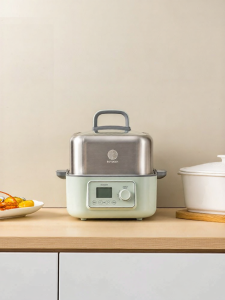 BUYDEEM | Multifunctional Automatic Reservation Home Use Electric Steamer