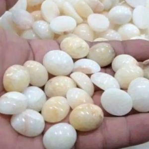 Borongan batu akik mani gajah / mg asli alam sekodi 20 pcs