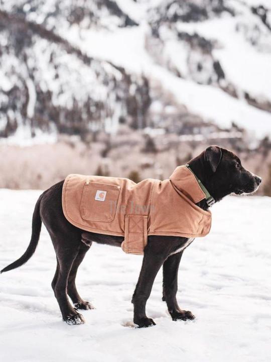 Carhartt Dog Chore Coat Waterproof Warm Pet Clothing for Rainy Weather S XL Size Lazada PH