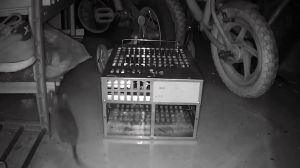 Double Door Mouse Trap Reuseable Multi Catch Mouse Trap Rat Trap Cage