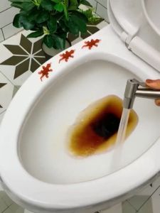 LONGKEN SUS 304 Stainless Steel 3-in-1 Toilet Spray Gun & Bidet Set: High-Quality Toilet Mate Bidet