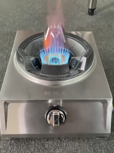 ✨✨EDWARD Medium pressure gas stove Gas Cooker Pressure Stainless Steel Single Burner Dapur Gas Single 猛火炉