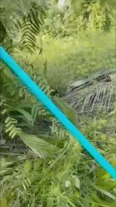 ด้ามตัดปาล์มเส้นเดียว 4 เมตร 3 เมตร 2 เมตร อ่านให้จบ ค่าส่งจ่ายตามจริงหน้าบ้านประมาณเมตรละ 100 (ท่อนละ 4 เมตร 3 ท่อน คิดประมาณเเค่ 400) ซามูไร Powder Coat มือไม่ดำ ไม่ลื่น อลูมิเนียมอัลลอยเเท้ มาเลเซีย น้ำหนักเบา