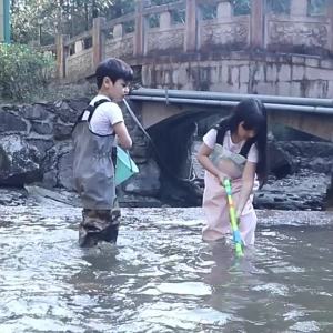 Quần Lội Nước Cho Trẻ Em Quần Yếm Quần Chống Thấm Nước Siêu Nhẹ Quần Chống Thấm Nước Toàn Thân Mẫu Giáo Quần Một Mảnh Đi Biển