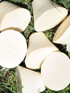 Xinjiang Natural Kuqa Face Wash Goats Milk Handmade Soap Kids Essential Oil Handmade Moisturizing Cleaning Bath Genuine Goods