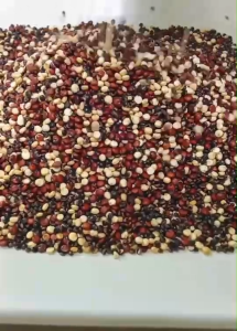 ควินัว นำเข้าแท้ อุดมด้วยโปรตีน  เหมาะสำหรับสายคลีน คีโต วีแกน