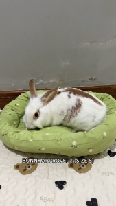 Pet Cushy Bed - Cat sleep bed mat Dog bed Rabbit Bed