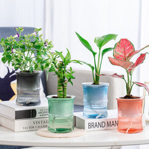 Self Watering Planter Pots Mini Pumpkin Shape Design Plastic Flowerpot Plant Pot Home Garden Modern Decorative Pot Supplies