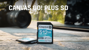 Kingston Canvas Go Plus SD Class 10 UHS-I U3 V30 SDG3 Memory Card ( 64GB / 128GB / 256GB / 512GB / 1TB )