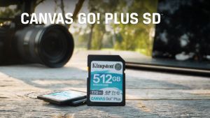 Kingston Canvas Go! Plus SD 170MB/s Class 10 UHS-I Memory Card - 64GB/128GB/256GB/512GB