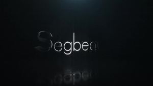 Segbeauty Blow Dryer Comb Attachment: A Pro Hairdressing Styling Tool