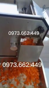 Máy cắt hạt lựu công nghiệp: cà rốt củ dền su hào hành tây quả táo ... các loại trái cây củ quả