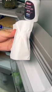 WLWE Gel Penghilang Jamur 200 Gram / Gel Anti Jamur / Mold Remover Gel Alat Penghilang kerak Jamur keramik Kamar mandi SH O04