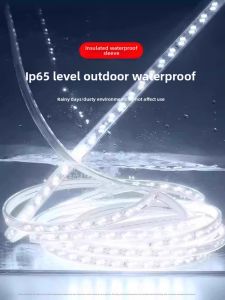 PAIMIJI | Waterproof LED Light Strip 100m