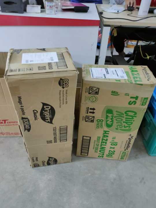 ANAK%20POKOK%20KURMA%20KUNING%20-%20Image%204