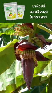 ชาหัวปลีผสมขิงและใบกระเพรา ตราไร่กฤติยา - กลิ่นหอม ดื่มง่าย การผลิตสะอาด ปลอดภัย ได้มาตรฐาน