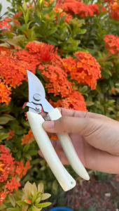 กรรไกรตัดกิ่งไม้ กรรไกรทำสวน รุ่นหัวตรง-รุ่นข้อศอก สีขาว/สีฟ้า สินค้าทำจากวัสดุที่ดี คุ้มค่าราคา