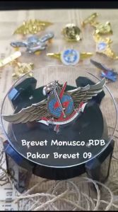 Pakar Brevet 09 : BREVET PBB/PIN PBB/BREVET MONUSCO RDB
