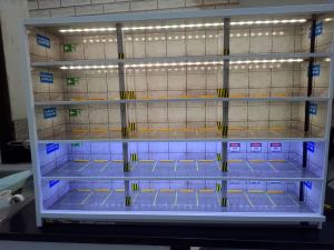 parkir diorama 5 lantai advance