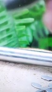 1/5pcs M3 M4 M5 M6 M8M10M12 304 Stainless Steel Flat Head Bearing Cylindrical Positioning Axis Roll Dowel Pin With Shaft Circlip