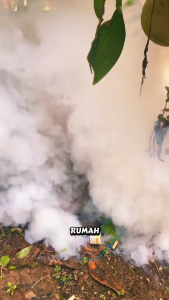 Kills all pests instantly TBH Insecticide smoke 6 unit/pek insect repellent Kills cockroaches bed bugs ants mosquitoes flies cockroaches killer 杀虫烟剂