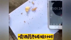 Ant Fry Killing Spray 300ml Ant Spray Kills All Types of Ants with Just One Spray Harmless to Humans and Pets