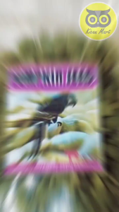 KICAU MART PUMPKIN SEED BIJI LABU IMPORT ORGANIC CEMILAN PAKAN BURUNG LOVEBIRD PARKIT KENARI PARROT