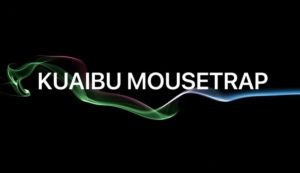 Double Door Continuous Catch Mouse Trap CageTwo Original Rat Traps Original Self Pest Control Perangkap tikus Sangkar 老鼠笼 捕鼠器