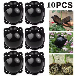 10ชิ้นลูกสำหรับปลูกต้นไม้ใช้ซ้ำได้ลูกกลมสำหรับปลูกต้นกล้าการขยายพันธุ์การปลูกถ่ายอวัยวะสำหรับทำสวนที่บ้าน