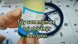 Tẩy Sơn HUDSON 350cc tẩy trên gỗ sắt