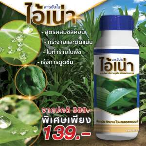 ไอ้เน่าจับใบ สารจับใบ สารนำพา เร่งการดูดซึม ไอ้เน่า ปุ๋ยน้ำ500ml