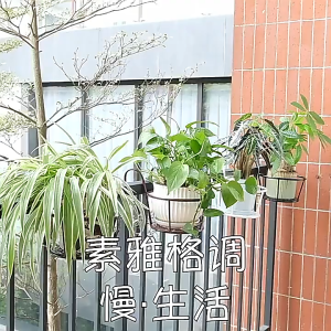 ชั้นวางต้นไม้ กระถางต้นไม้ ต้นไม้ระเบียงบ้าน ตกแต่งบ้าน ระเบียง ต้นไม้เล็ก กระถางแขวน มินิมอล สีขาวสีดำ