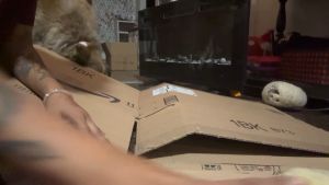 Brifit 3D Printed Kitten Shaped Cutter – DIY Cardboard Cutter for Cat Scratchers – Handheld Cardboard Recycle Cutting Tools-1PCS