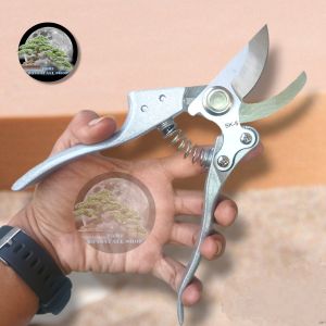 Gunting dahan Silver SK5