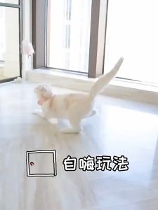 Cat Teasing Stick Teasing Cat Toy Self-healing Cat Relieving Boredom Handy Tool Cat Collar Automatic Teasing Cat