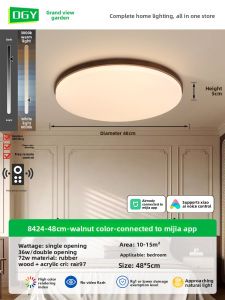DGY | Traditional Minimalist Square Ceiling Light R335